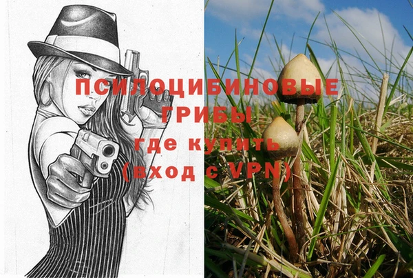метадон Богородск